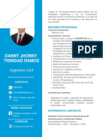 Danny Jhonny Trinidad Ramos: Ingeniero Civil