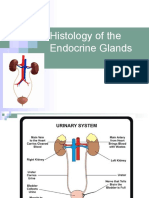 PPT14-Histology of Urinary System