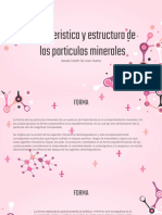 Caracteristica y Estructura de Las Particulas Minerales