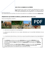 Guias Plantas y Animales Nb2