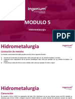 Modulo 05 Hidrometalurgia