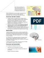 Sistema Nervioso