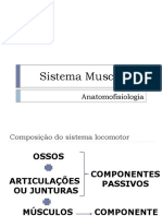 Aula Sistema Muscular