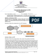 Department of Education: Learning Activity Worksheets (LAW) General Biology 1 Grade 12