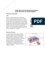 Tema 3 de Bacteriologia Lab