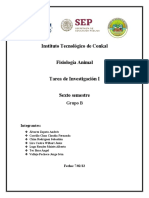 Trabajo de Investigación U1