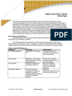 Digital Loop Carrier Tutorial White Paper: Environment and Definitions