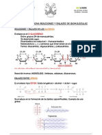 FICHA Enlaces Bioquímica