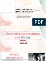 Central Dogma