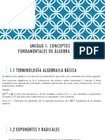 Unidad 1 Conceptos Fundamentales de Algebra