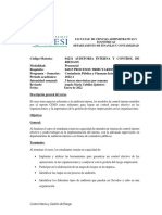 Auditoria Interna y Control de Riesgos SEM2022-1