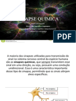 Sinapse Química