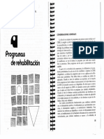 Programa de Intervencion