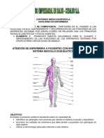 Contenido Sistema Musculo Esqueletico