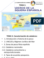 Paga. Tema 3. Caladeros