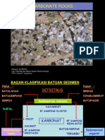 Carbonate Rocks: Disusun: SUTARTO Lab. Petrologi Dan Bahan Galian Teknik Geologi UPN "Veteran" Yogyakarta