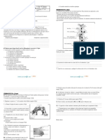 Devoir de Synthèse N°2 - SVT - 2ème Sciences (2011-2012) Mlle Nouisser Zèhia