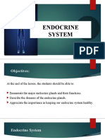 Endocrine System