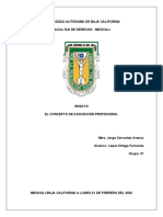 ENSAYO - El Concepto de Asociación Profesional