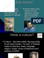 What Is Culture