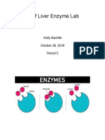 Liver Lab Report