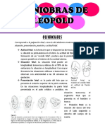 Maniobras de Leopold