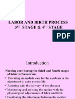 Labor and Birth Process 3 Stage & 4 Stage: RD TH