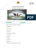 Rapport de Stage: Sommaire