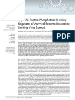 Type 2C Protein Phosphatase Is A Key Regulator of Antiviral Extreme Resistance Limiting Virus Spread