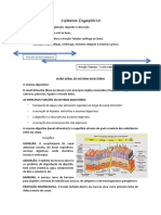 Histologia Do Sistema Digestório (Boca e Cavidade Oral)