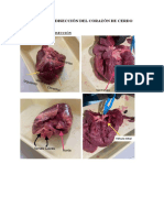 Informe de Práctica Con Corazón de Cerdo