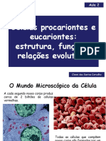 Células Procariontes e Eucariontes: Estrutura, Função e Relações Evolutivas