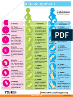 Fetal Developmentchart