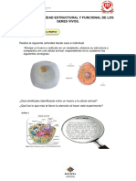 La Celula Unidad Funcional y Estructural Del Ser Vivo