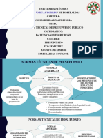 Normas Técnicas de Presupuesto Público