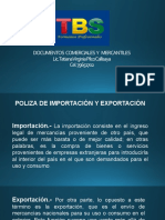 Poliza de Importacion y Exportacion