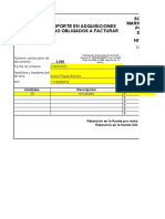 Formato Documento Soporte