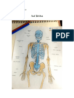 Maglaqui - Skeletal System