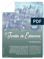 El Jardín de Ediacara