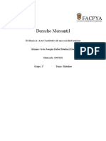 Acta Constitutiva de Una Sociedad Anónima