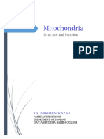 Mitochondria: Structure and Function