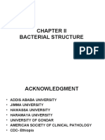 Chapter II Bacterial Structure