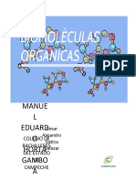 Bioelementos Organicos