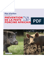 Peste Porcine Africaine / Plan-Action 2022