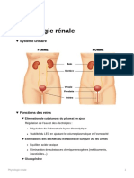 Physiologie Rénale