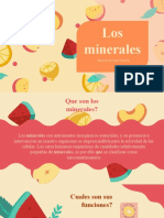 Exposicion Los Minerales