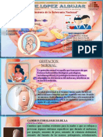 Diapositiva de Gestacion Normal.