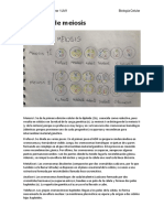 Esquema de Meiosis