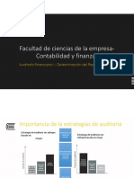 Auditoría Financiera I - Determinación Del Riesgo Significativo