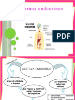 Sistema Endocrino